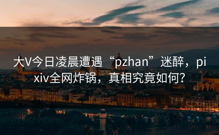 大V今日凌晨遭遇“pzhan”迷醉，pixiv全网炸锅，真相究竟如何？