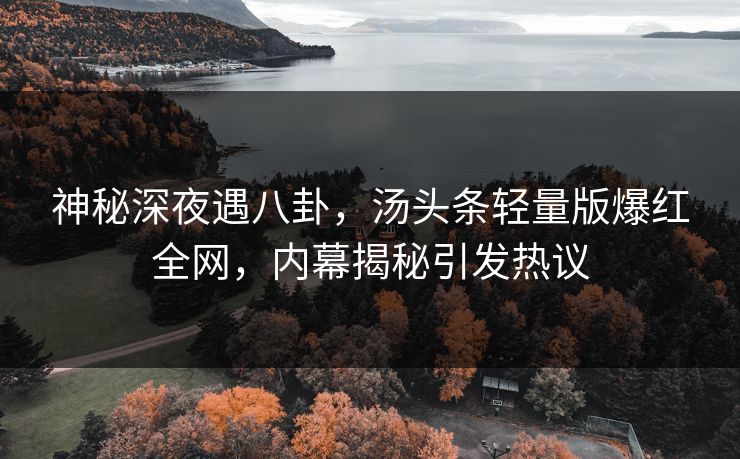 神秘深夜遇八卦，汤头条轻量版爆红全网，内幕揭秘引发热议