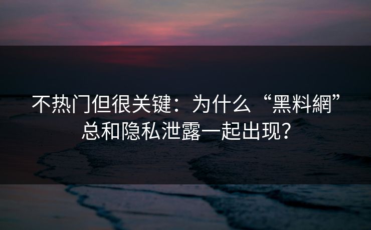 不热门但很关键：为什么“黑料網”总和隐私泄露一起出现？